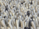 ROCKS tappeto 250 x 300