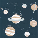 OUR PLANET CARTA DA PARATI