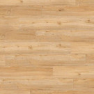 CREATION 40 RIGID ACOUSTIC