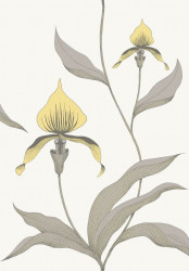 CONTEMPORARY RESTYLED CARTA DA PARATI