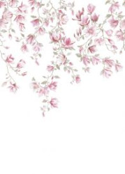 WONDERWALL 2 CARTA DA PARATI DIGITALE