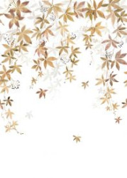 WONDERWALL 2 CARTA DA PARATI DIGITALE