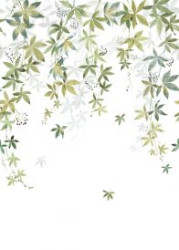 WONDERWALL 2 CARTA DA PARATI DIGITALE