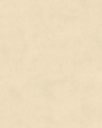 TENDA A PACCHETTO CARENA