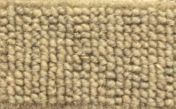 ODYSSEY MOQUETTE IN BOUCLE'