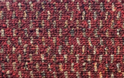 STEP MOQUETTE IN BOUCLE'