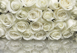 GIGANTOGRAFIA IN CARTA