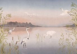 WONDERWALL 2 CARTA DA PARATI DIGITALE