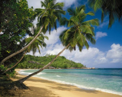 GIGANTOGRAFIA IN CARTA