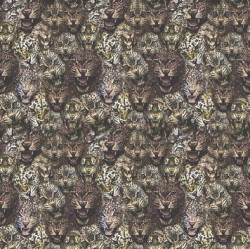 ROBERTO CAVALLI 8 CARTA DA PARATI