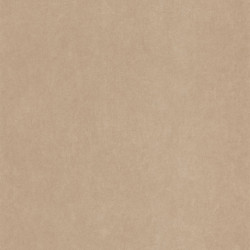LES BELLES TOILES DE JOUY CARTA DA PARATI