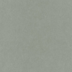 GALLERY CARTA DA PARATI