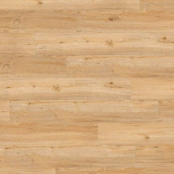 CREATION 40 RIGID ACOUSTIC