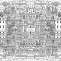 RIFLESSO FORNASETTI CARTA DA PARATI
