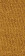 NUVOLA TAPPETO 80 X 150